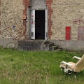 2008-12-caserne-jeanmi-OK (108)